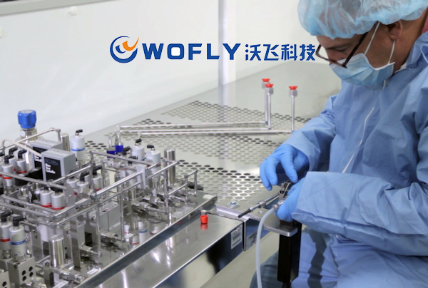 特氣管道組件安裝